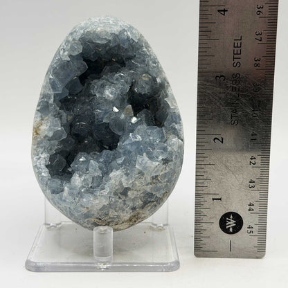 Celestite Geode Crystal Cluster 3.5" Natural Blue Crystal Specimen - Gem Avenue Retail