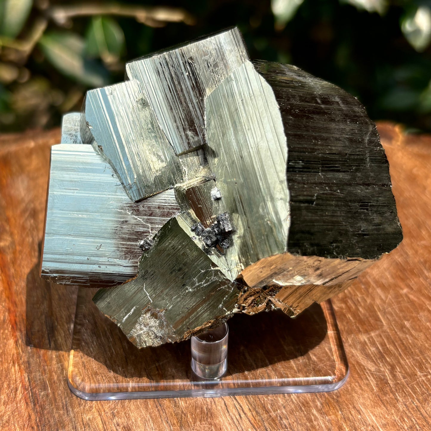 Natural Pyrite Crystal Cluster Cubic Mineral Specimen