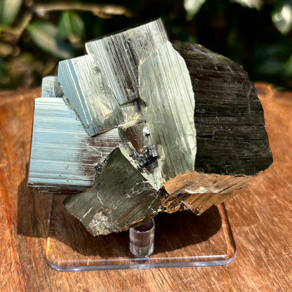 Natural Pyrite Crystal Cluster Cubic Mineral Specimen