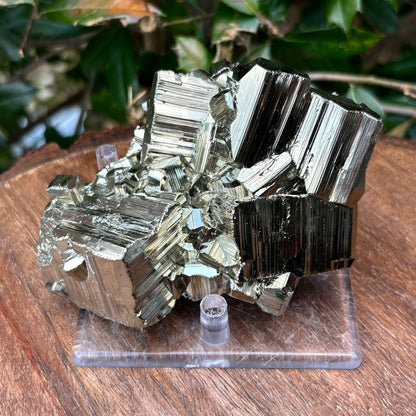 Natural Pyrite Crystal Cluster Cubic Mineral Specimen