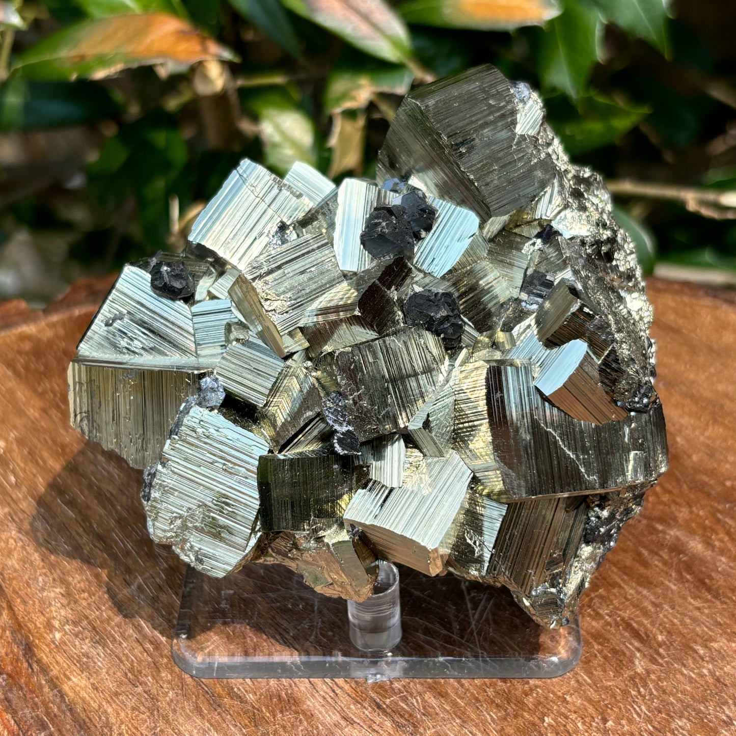 Natural Pyrite Crystal Cluster Cubic Mineral Specimen-Gem Avenue
