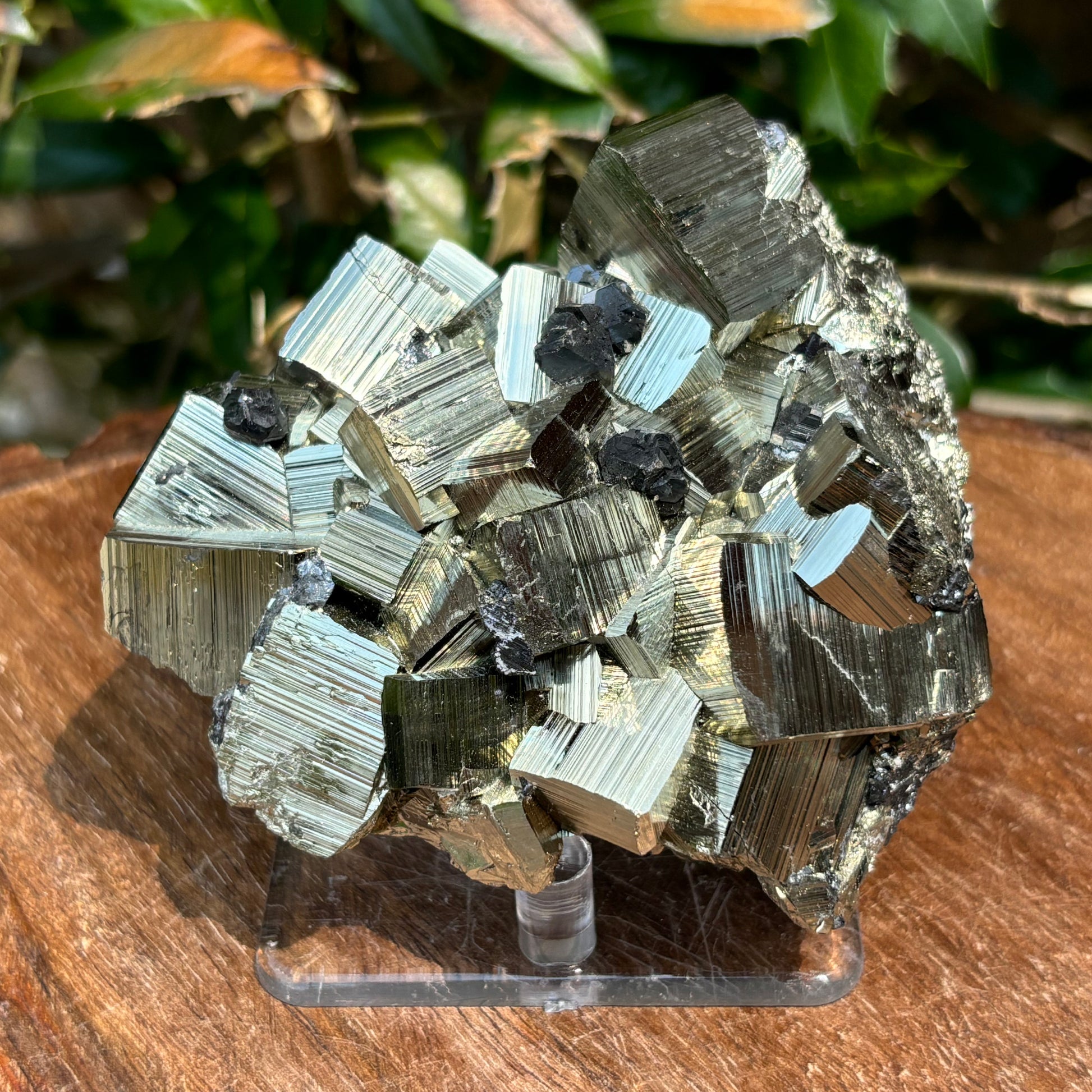 Natural Pyrite Crystal Cluster Cubic Mineral Specimen-Gem Avenue
