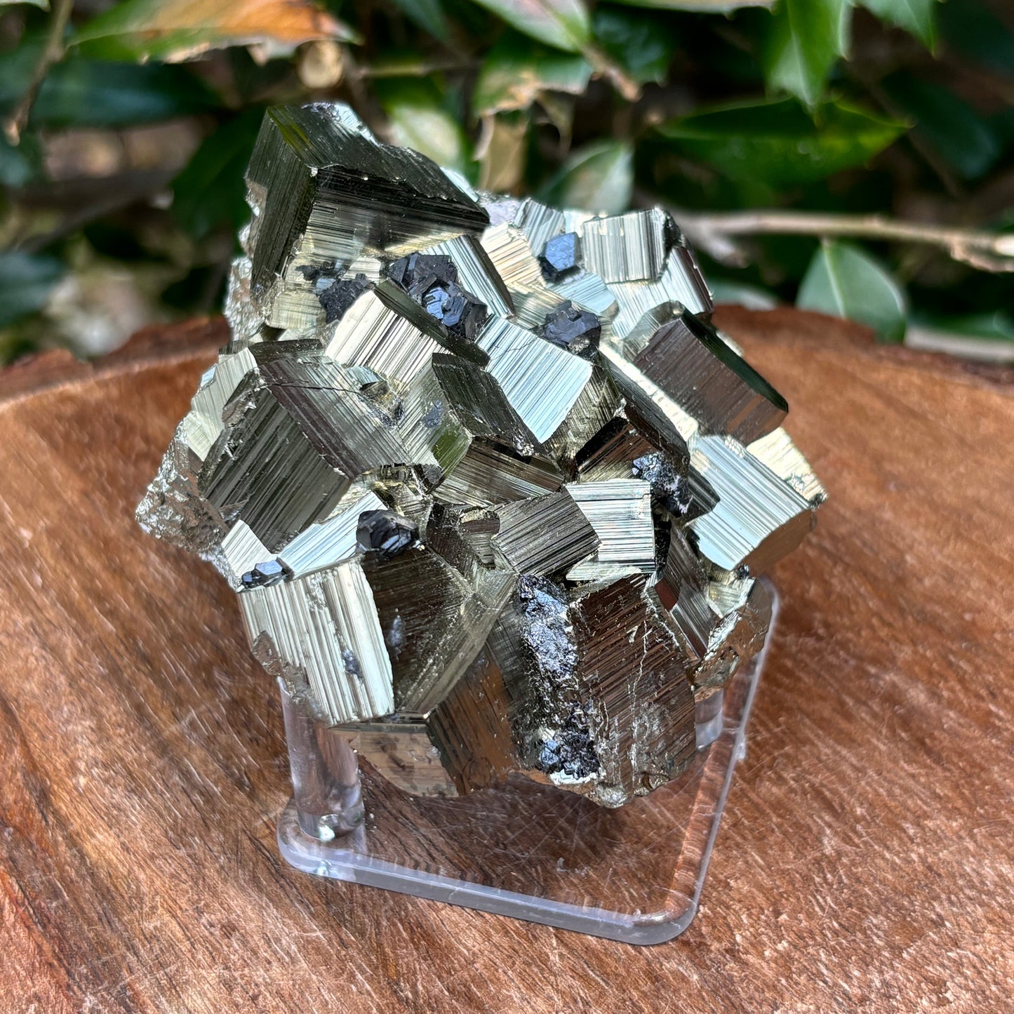 Natural Pyrite Crystal Cluster Cubic Mineral Specimen-Gem Avenue
