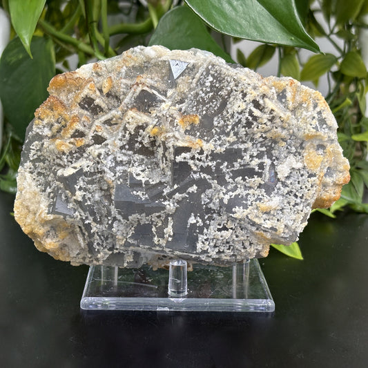 Fluorite Crystal Mineral Specimen - Gem Avenue