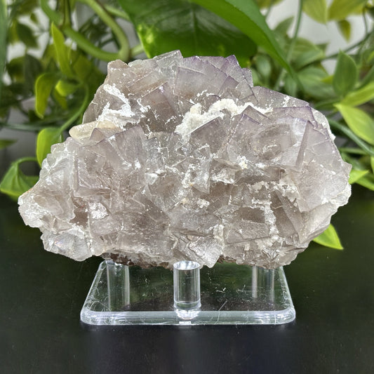 Fluorite Crystal Mineral Specimen - Gem Avenue