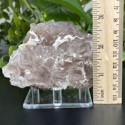 Fluorite Crystal Mineral Specimen - Gem Avenue