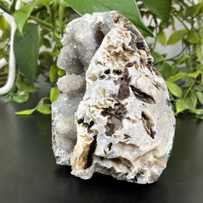 Quartz Crystal Mineral Specimen - Gem Avenue