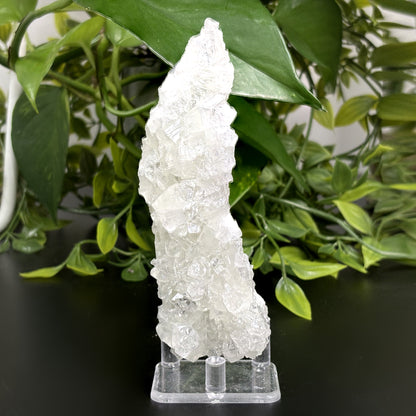 Natural Apophyllite Crystal Cluster Raw Healing Stone for Meditation, Decor & Collectors – RMI714