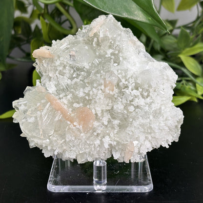 Natural Apophyllite Stilbite Crystal Mineral Specimen – Healing Gemstone for Meditation, Energy Work & Home Décor - RMI729