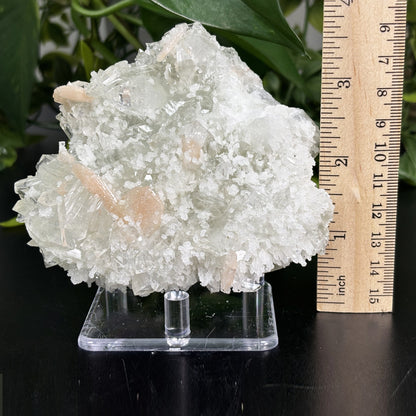 Natural Apophyllite Stilbite Crystal Mineral Specimen – Healing Gemstone for Meditation, Energy Work & Home Décor - RMI729