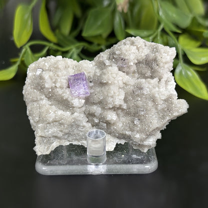 Natural Fluorite Crystal Mineral Specimen – Healing Stone for Focus, Clarity, Protection & Energy Cleansing - RMI739
