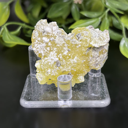 Natural Brucite Crystal Mineral Powerful Energy Cleansing Stone for Confidence, Clarity & Meditation  RMI740