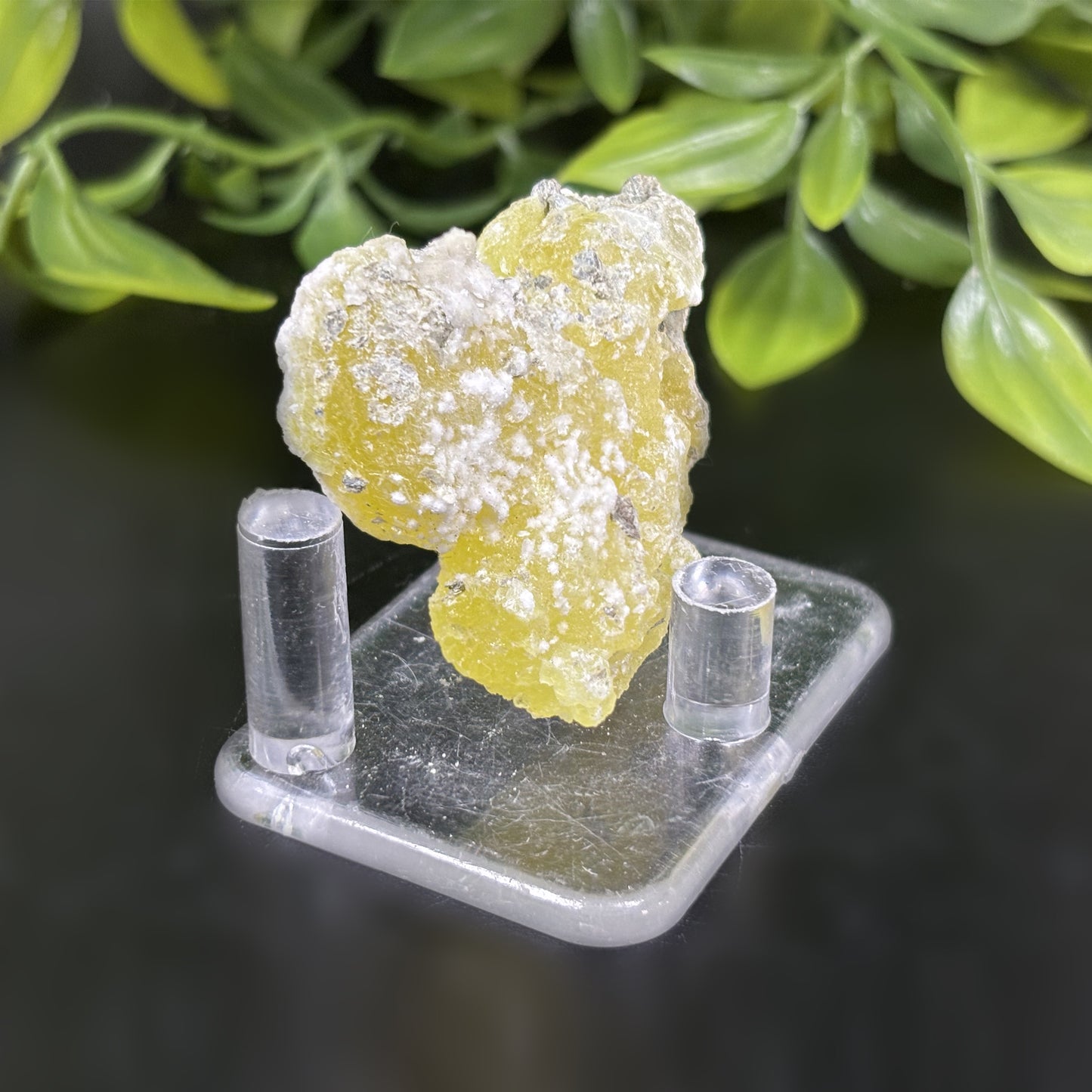 Natural Brucite Crystal Mineral Specimen Powerful Healing Stone for Clarity, Confidence & Energy Cleansing - RMI740