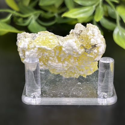 Natural Brucite Crystal Mineral Specimen Powerful Healing Stone for Clarity, Confidence & Energy Cleansing - RMI740