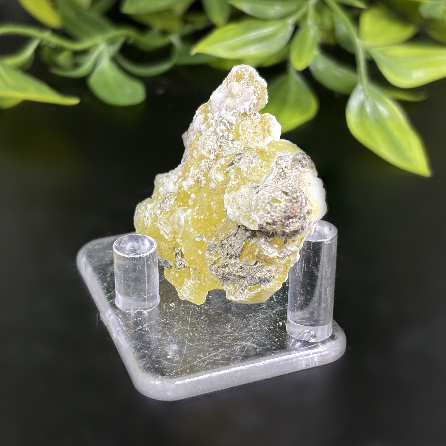 Natural Brucite Crystal Mineral Specimen Powerful Healing Stone for Clarity, Confidence & Energy Cleansing - RMI740