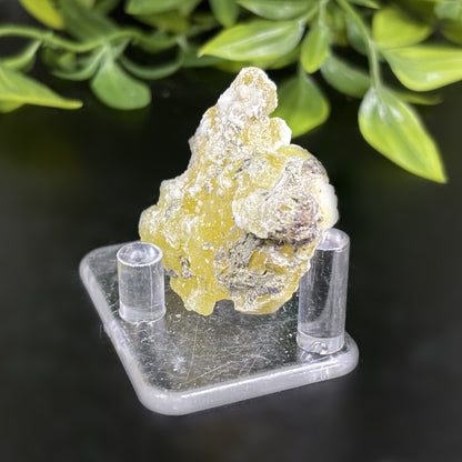 Natural Brucite Crystal Mineral Specimen Powerful Healing Stone for Clarity, Confidence & Energy Cleansing - RMI740