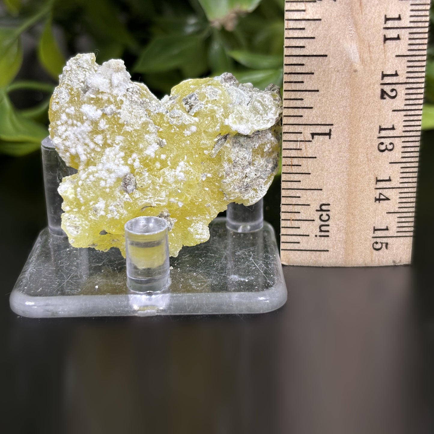 Natural Brucite Crystal Mineral Specimen Powerful Healing Stone for Clarity, Confidence & Energy Cleansing - RMI740
