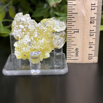 Natural Brucite Crystal Mineral Specimen Powerful Healing Stone for Clarity, Confidence & Energy Cleansing - RMI740