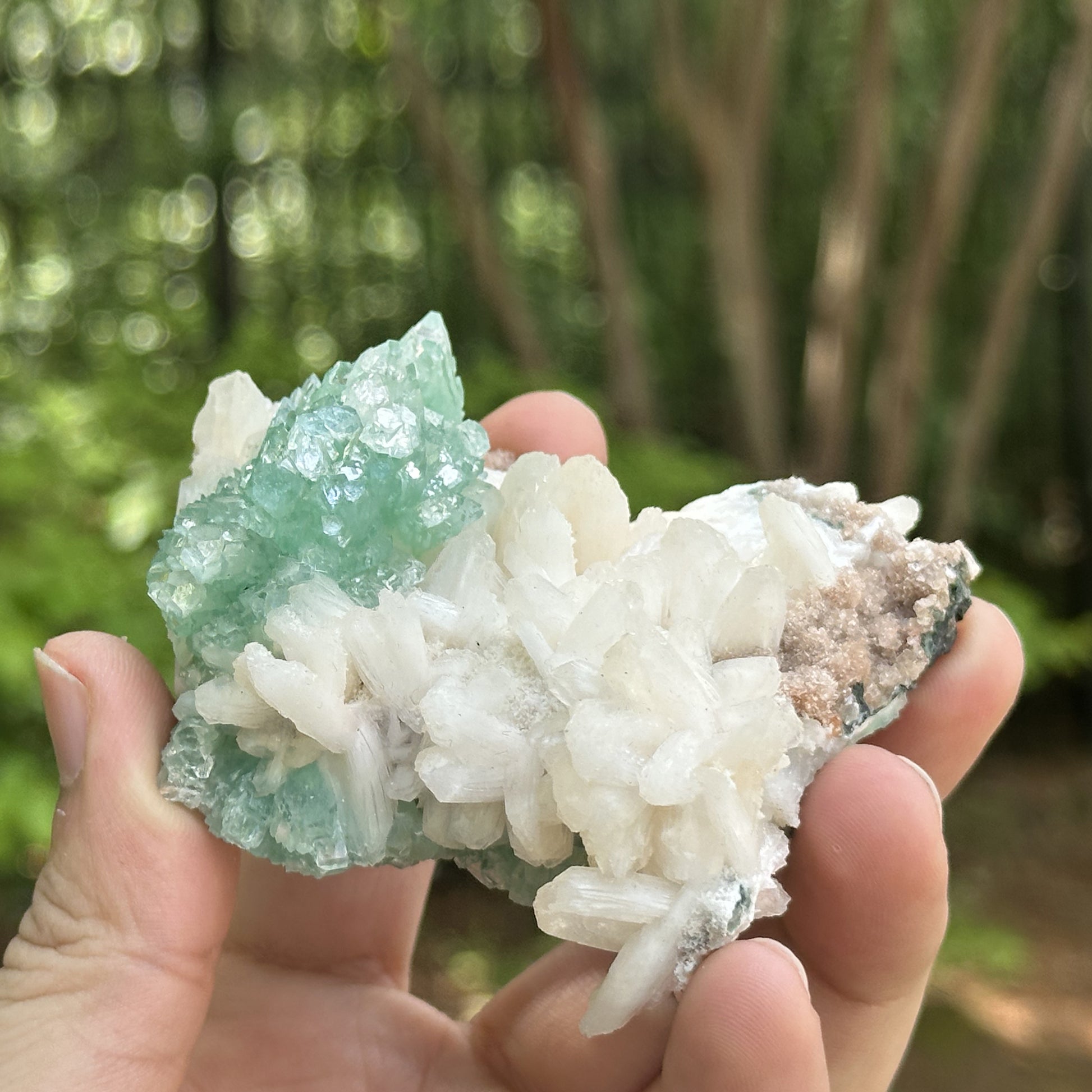 Green Apophyllite Mineral Specimen -Gem Avenue