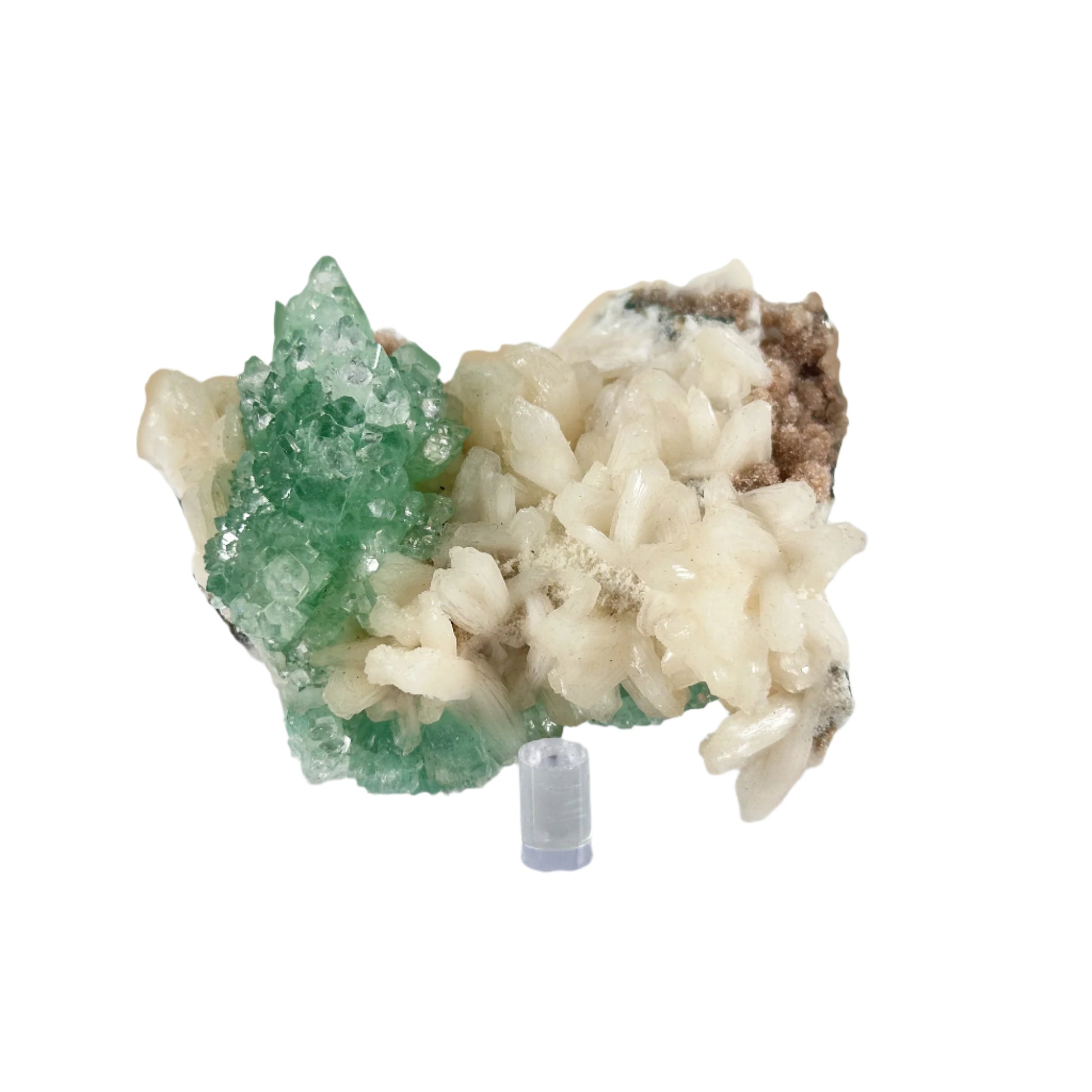 Green Apophyllite Mineral Specimen -Gem Avenue