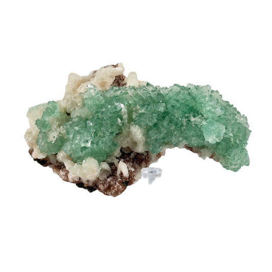 Green Apophyllite Crystal Mineral Specimen -  Gem Avenue