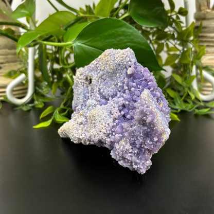 Natural Grape Agate Crystal Rare Gemstone Mineral Specimen for Collectors and Healing - RMI756