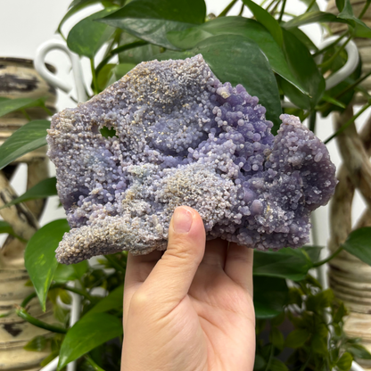 Natural Grape Agate Crystal Rare Gemstone Mineral Specimen for Collectors and Healing - RMI756