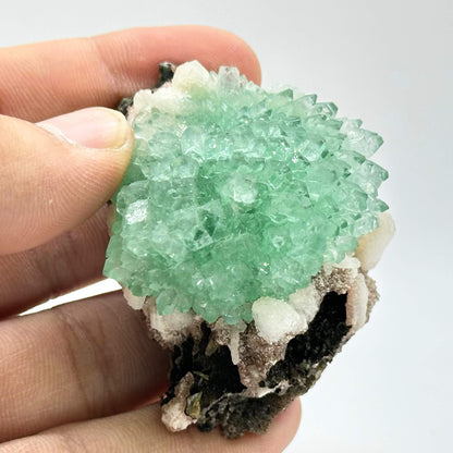 Natural Green Apophyllite Crystal Mineral Specimen Rare Healing Stone for Meditation & Crystal Collecting - RMI759