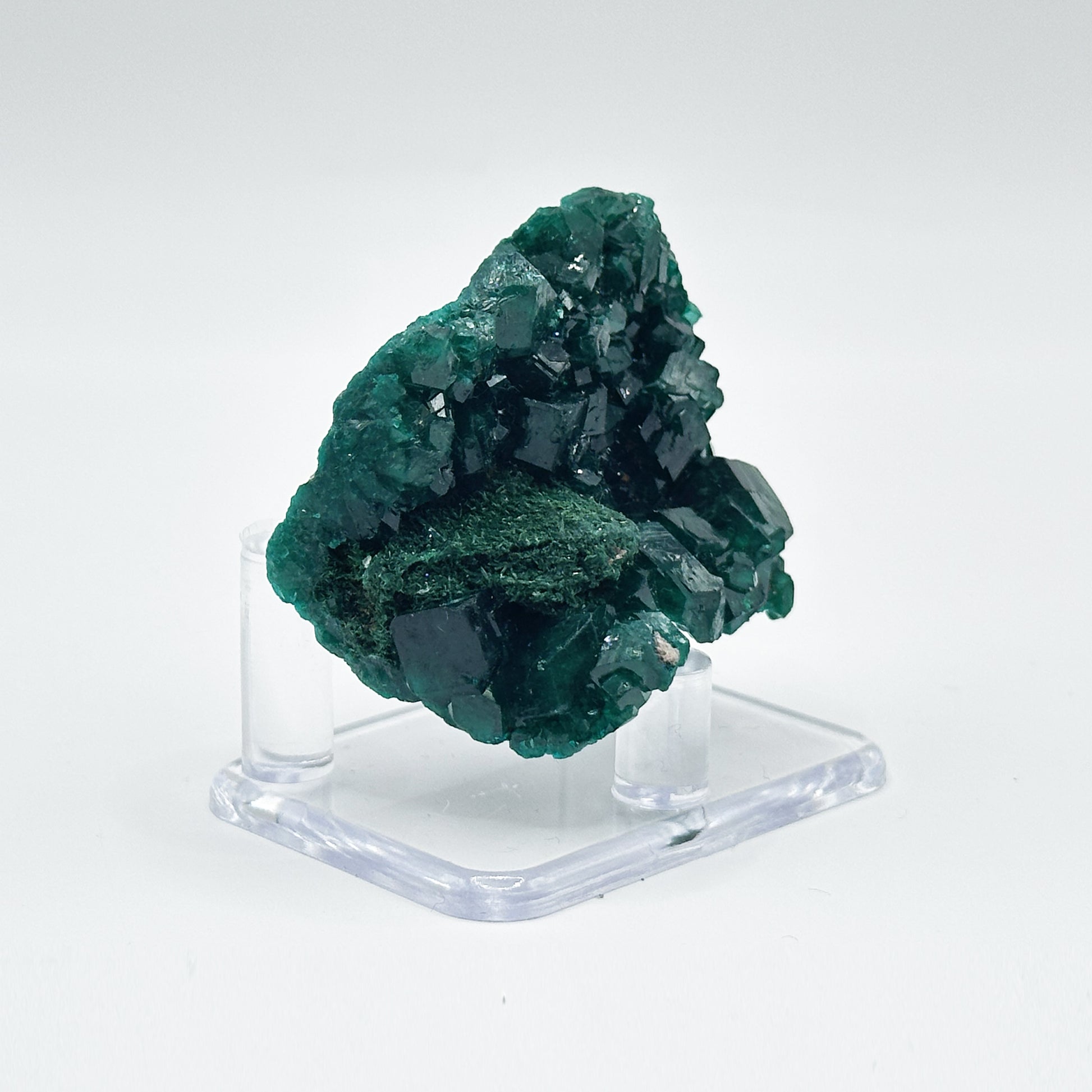 Natural Dioptase Crystal Rare Green Mineral Specimen - Gem Avenue