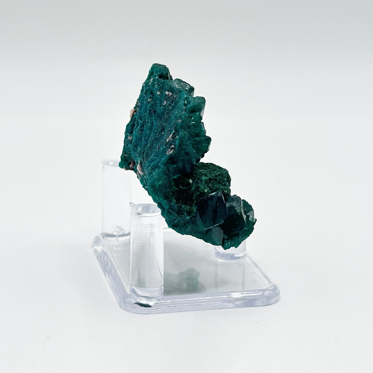 Natural Dioptase Crystal Rare Green Mineral Specimen - Gem Avenue