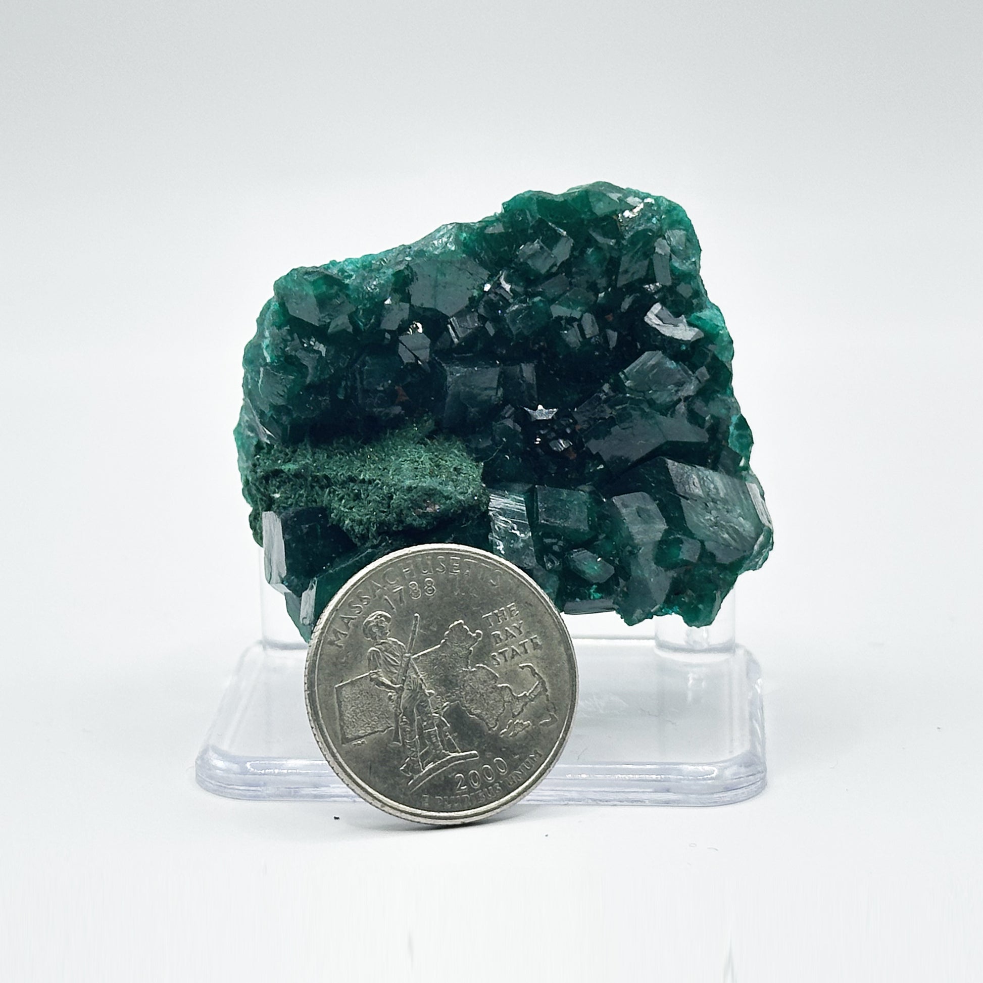 Natural Dioptase Crystal Rare Green Mineral Specimen - Gem Avenue