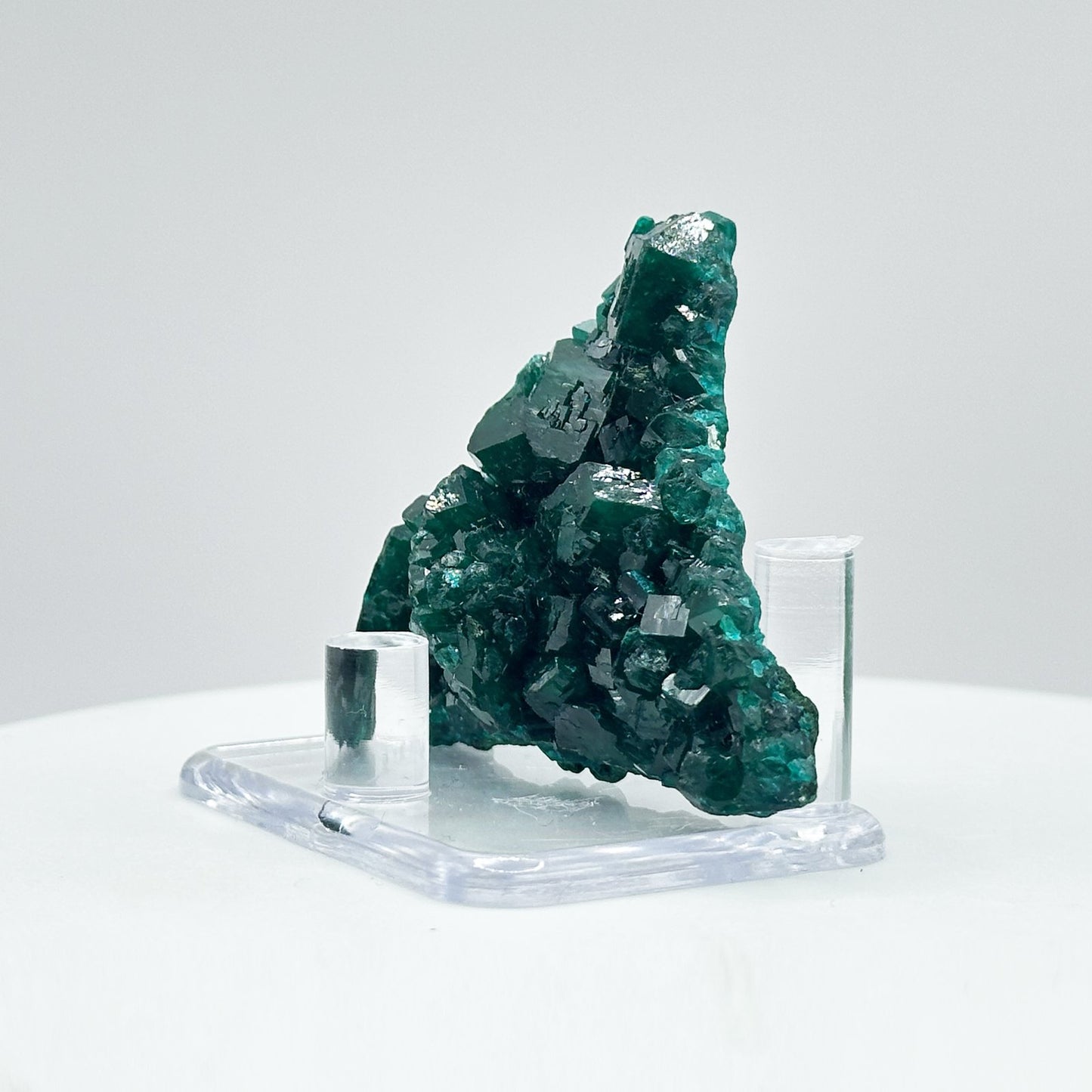 Natural Green Dioptase Crystal Mineral Specimen - Gem Avenue