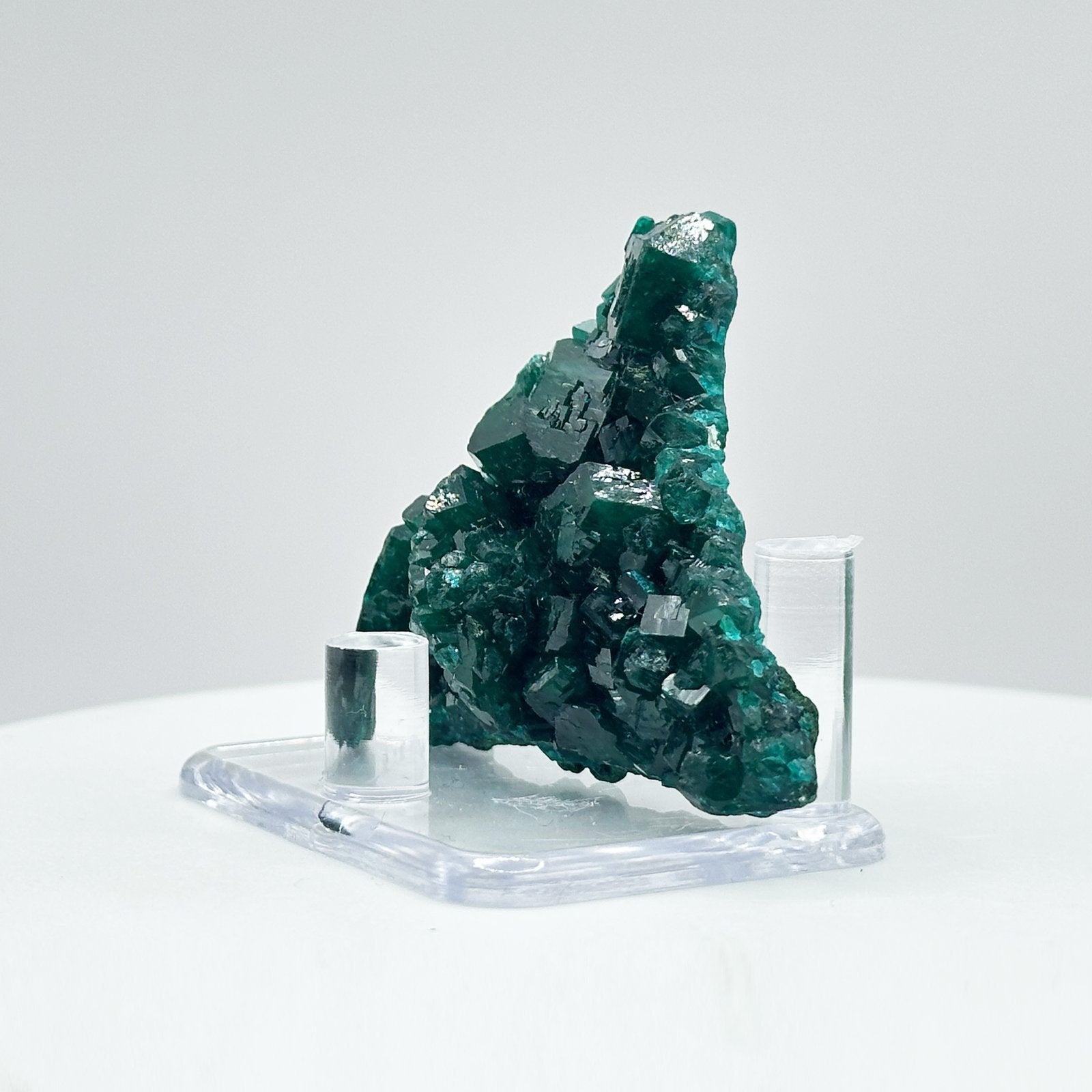 Natural Green Dioptase Crystal Mineral Specimen - Gem Avenue