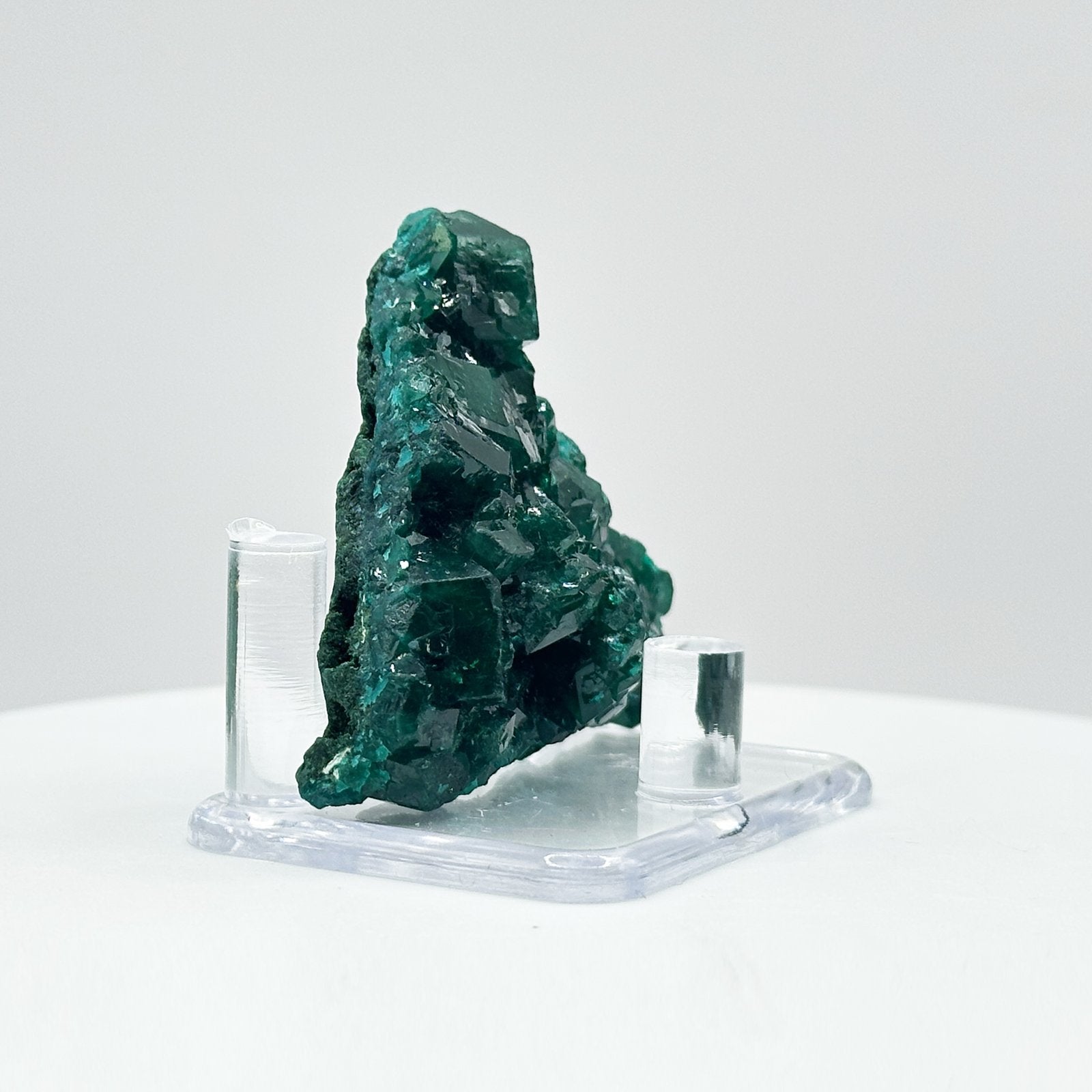 Natural Green Dioptase Crystal Mineral Specimen - Gem Avenue