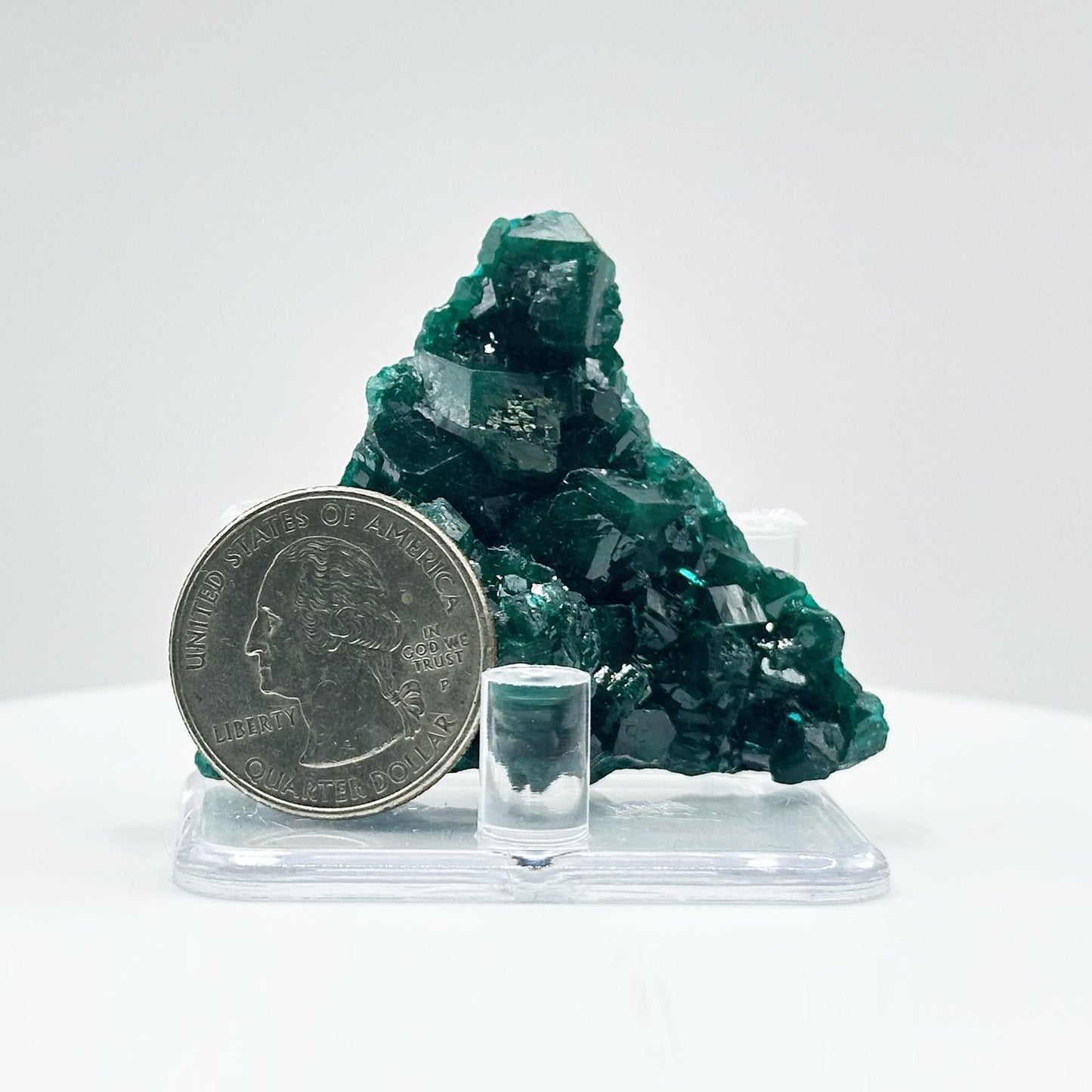 Natural Green Dioptase Crystal Mineral Specimen - Gem Avenue
