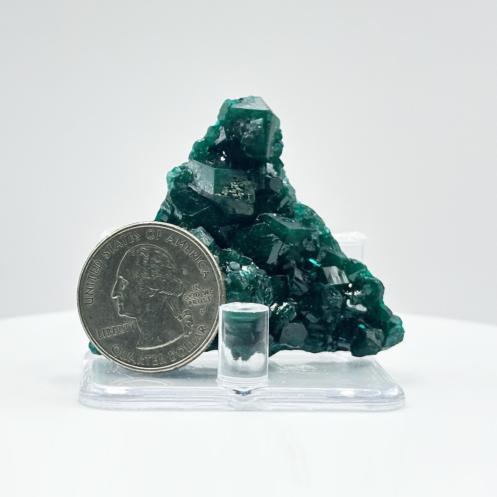 Natural Green Dioptase Crystal Mineral Specimen - Gem Avenue