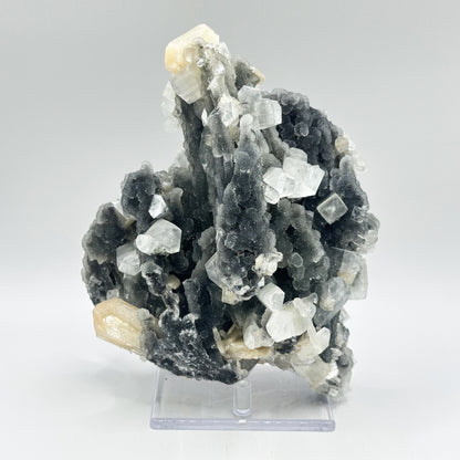 Natural Chalcedony Stilbite Apopyllite - Gem Avenue