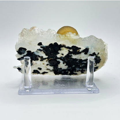 Botryoidal Fluorite Specimen - RMI772 - Gem Avenue