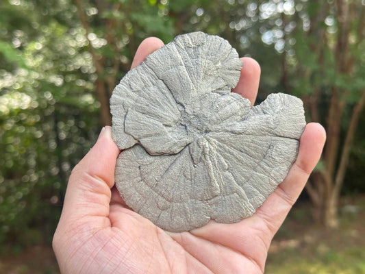 Natural Pyrite Sun Crystal Specimen Golden Pyrite Sunburst Stone Mineral Healing Crystal, Collectors Gemstone, Fool’s Gold