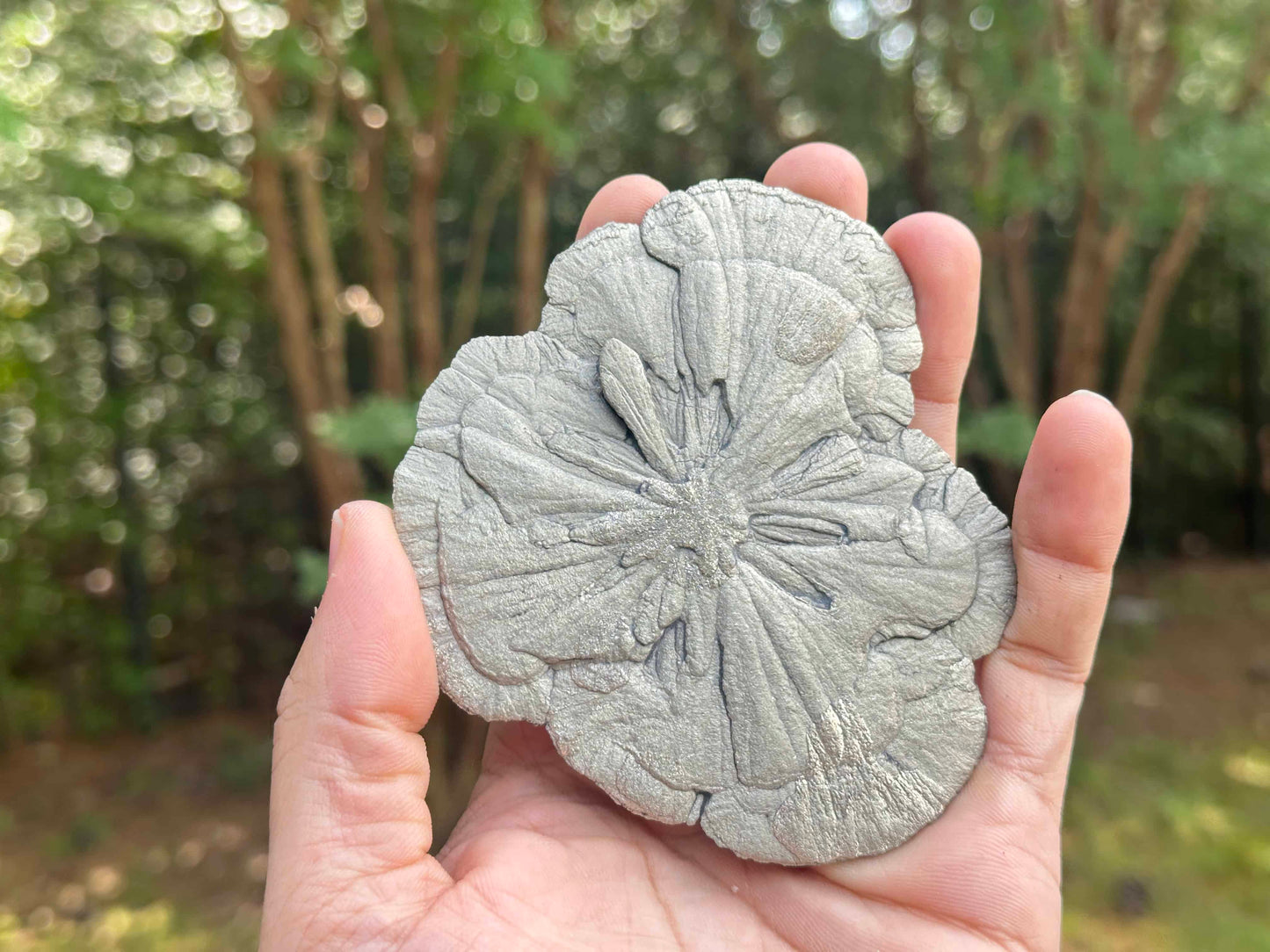 Natural Pyrite Sun Crystal Specimen Golden Pyrite Sunburst Stone Mineral from Illinois, Healing Crystal, Collectors Gemstone, Fool’s Gold