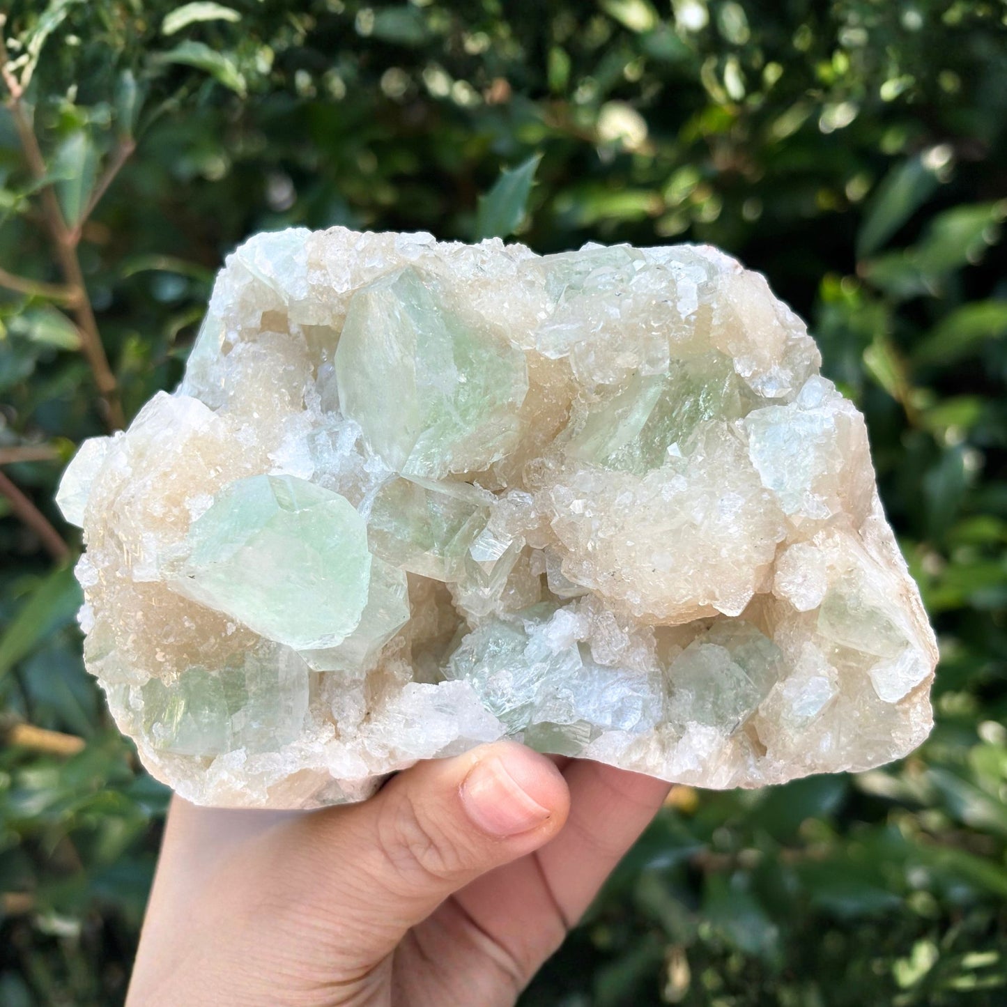 Natural Green Apophyllite Stilbite Mineral Specimen - Gem Avenue