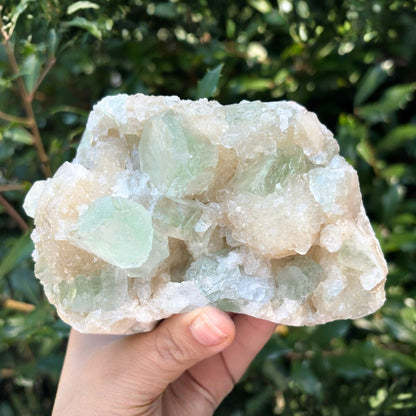 Natural Green Apophyllite Stilbite Mineral Specimen - Gem Avenue