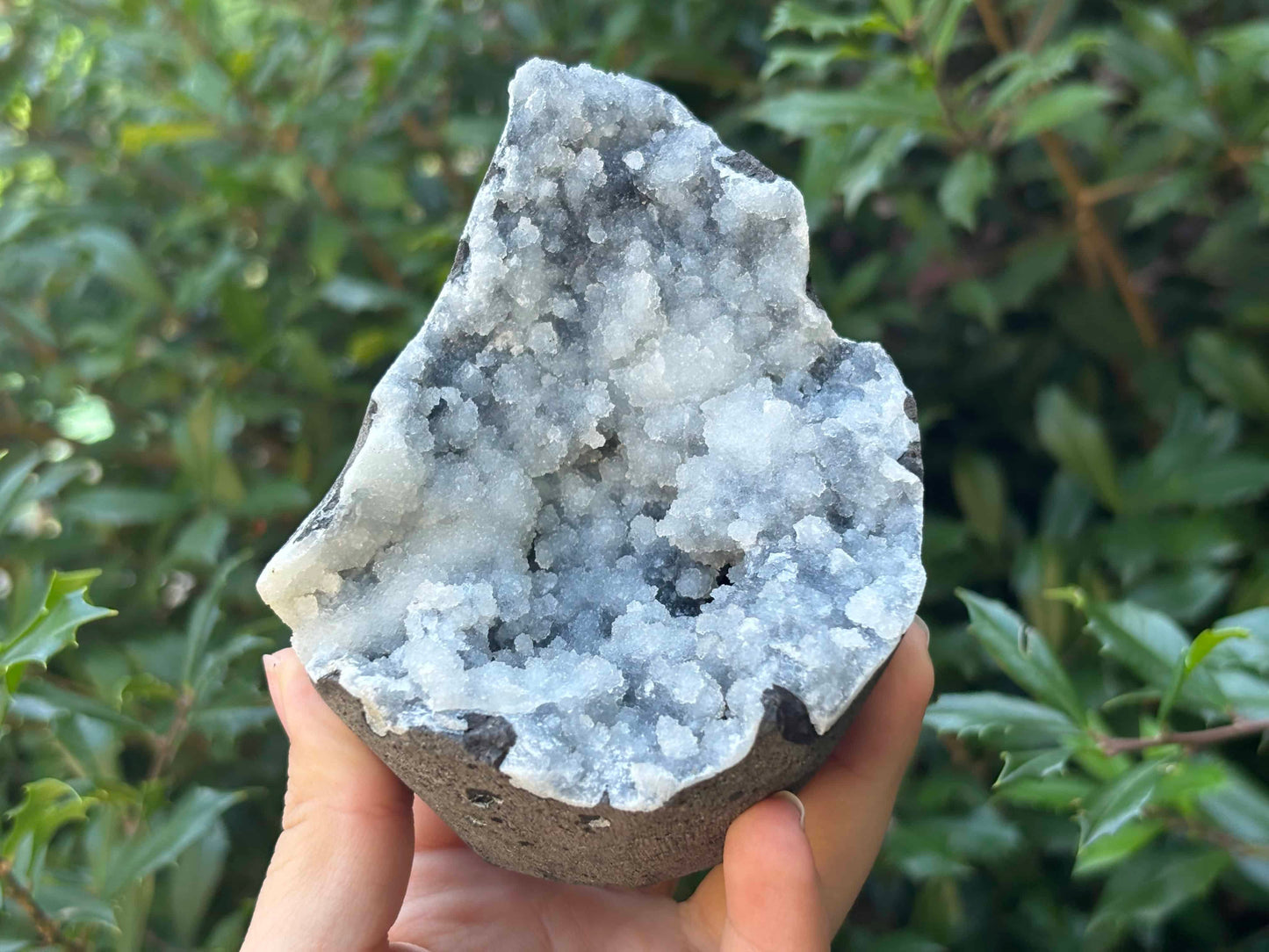 Natural Chalcedony Mineral Specimen Beautiful Healing Crystal for Meditation, Energy Work, Collectors & Home Decor Display - RMI802