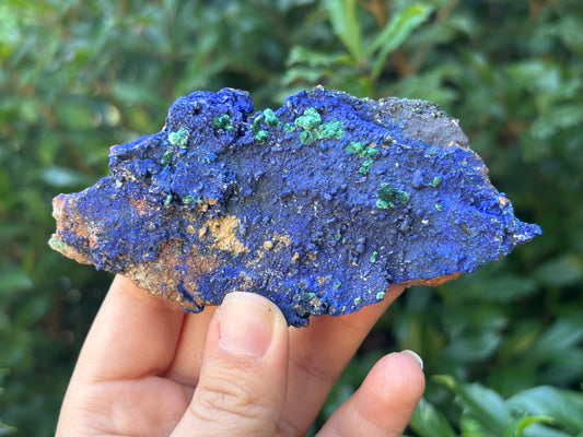 Natural Azurite Malachite Mineral Specimen Rare Healing Crystal Stone with Unique Patterns for Meditation, Energy Work, Collectors & Home Decor Display - RMI805