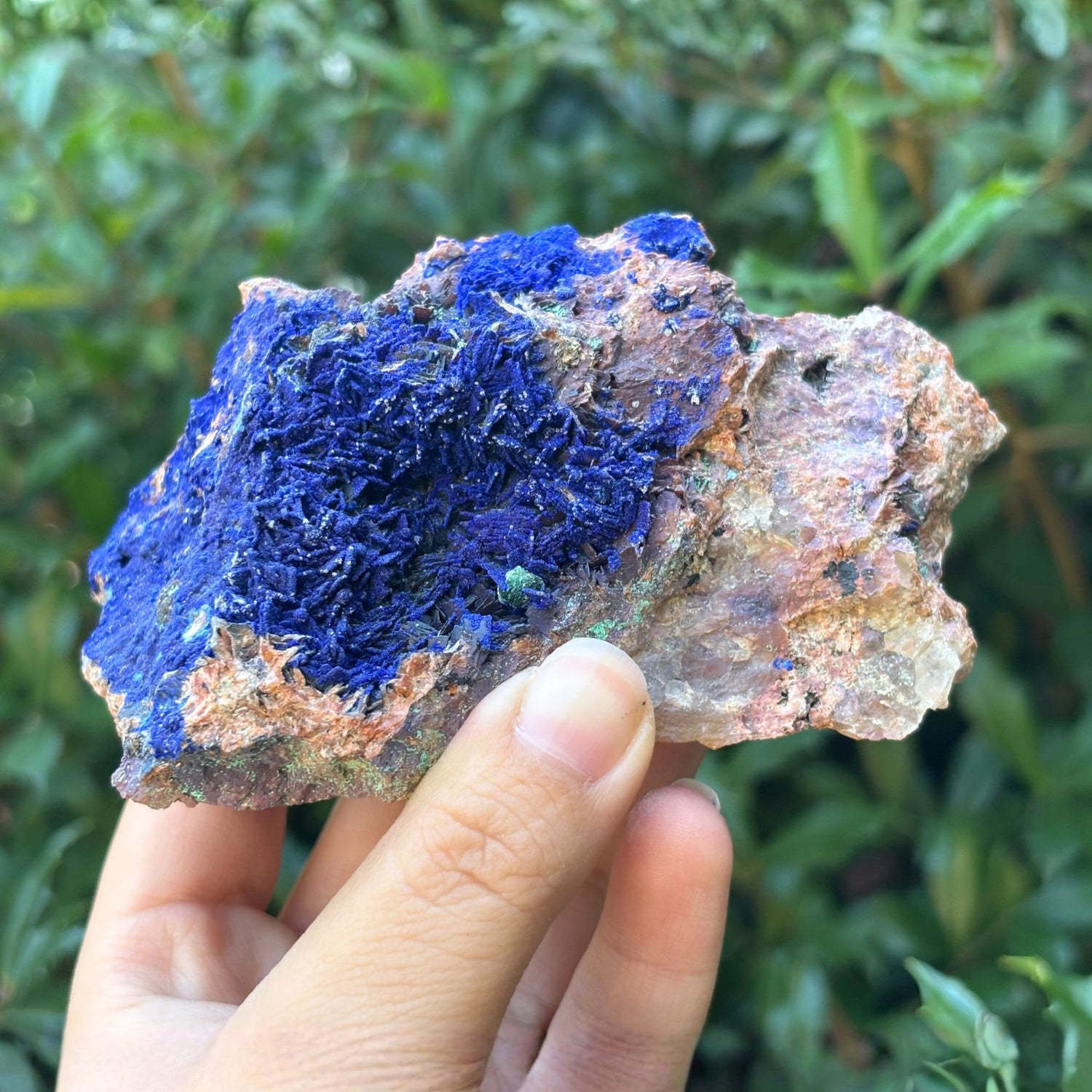 Natural Azurite Malachite Mineral Specimen - Gem Avenue