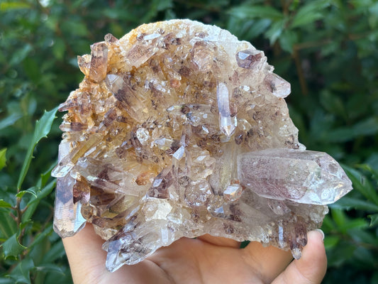 Natural Phantom Quartz Mineral Specimen Rare Healing Crystal Stone with Unique Inclusions for Meditation, Energy Work, Collectors & Home Decor Display - RMI807