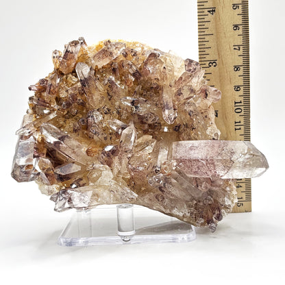 Natural Phantom Quartz Mineral Specimen Rare Healing Crystal Stone with Unique Inclusions for Meditation, Energy Work, Collectors & Home Decor Display - RMI807