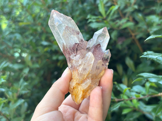 Natural Phantom Quartz Mineral Specimen Rare Healing Crystal Stone with Unique Inclusions for Meditation, Energy Work, Collectors & Home Decor Display - RMI808