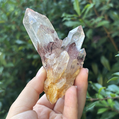 Natural Phantom Quartz Mineral Specimen Rare Healing Crystal Stone with Unique Inclusions for Meditation, Energy Work, Collectors & Home Decor Display - RMI808