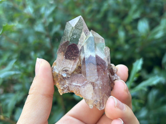 Natural Phantom Quartz Crystal Mineral Specimen Rare Healing Stone for Meditation,Energy Work, Collectors & Home Decor Display - RMI809